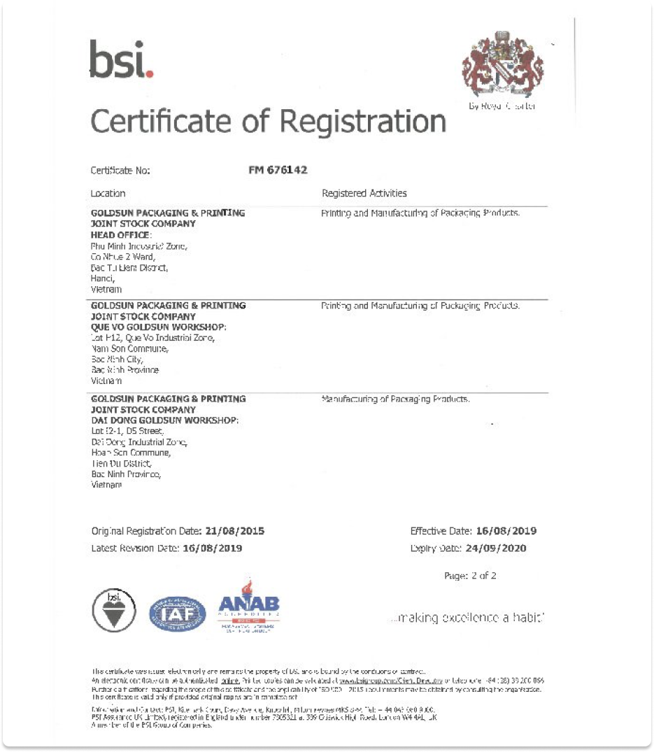 BSI Certificate of Registation